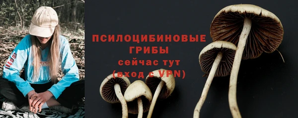 гидра Армянск