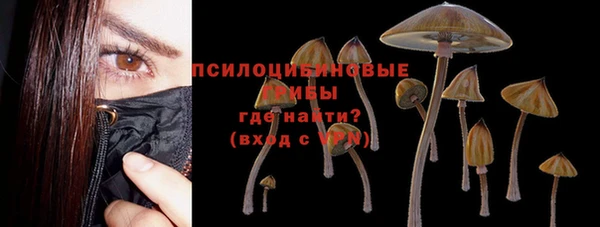 мескалин Аркадак